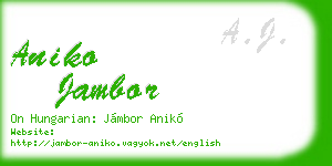 aniko jambor business card